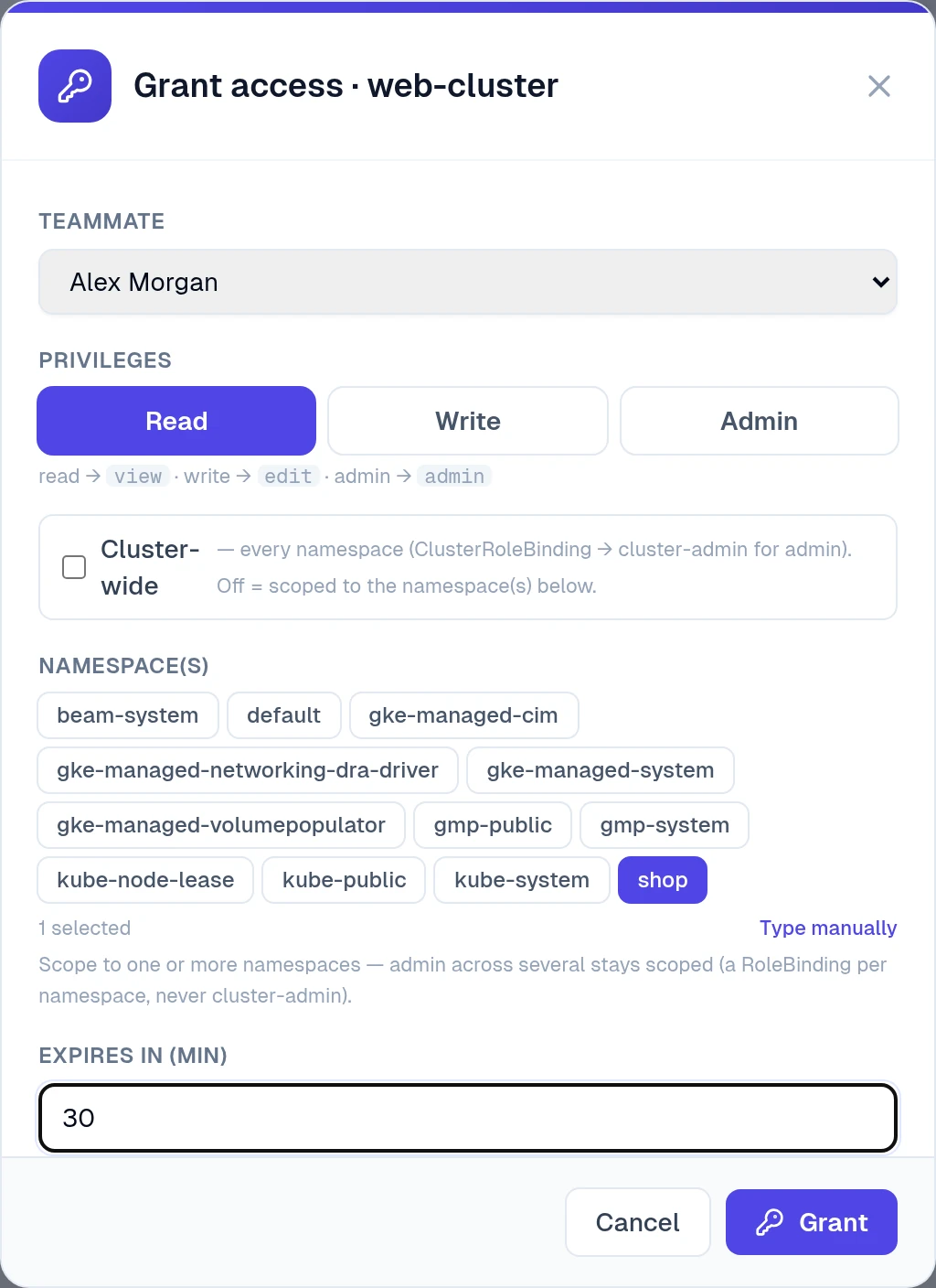 Grant access window for web-cluster: Alex Morgan, Read, namespace shop selected, expires in 30 minutes