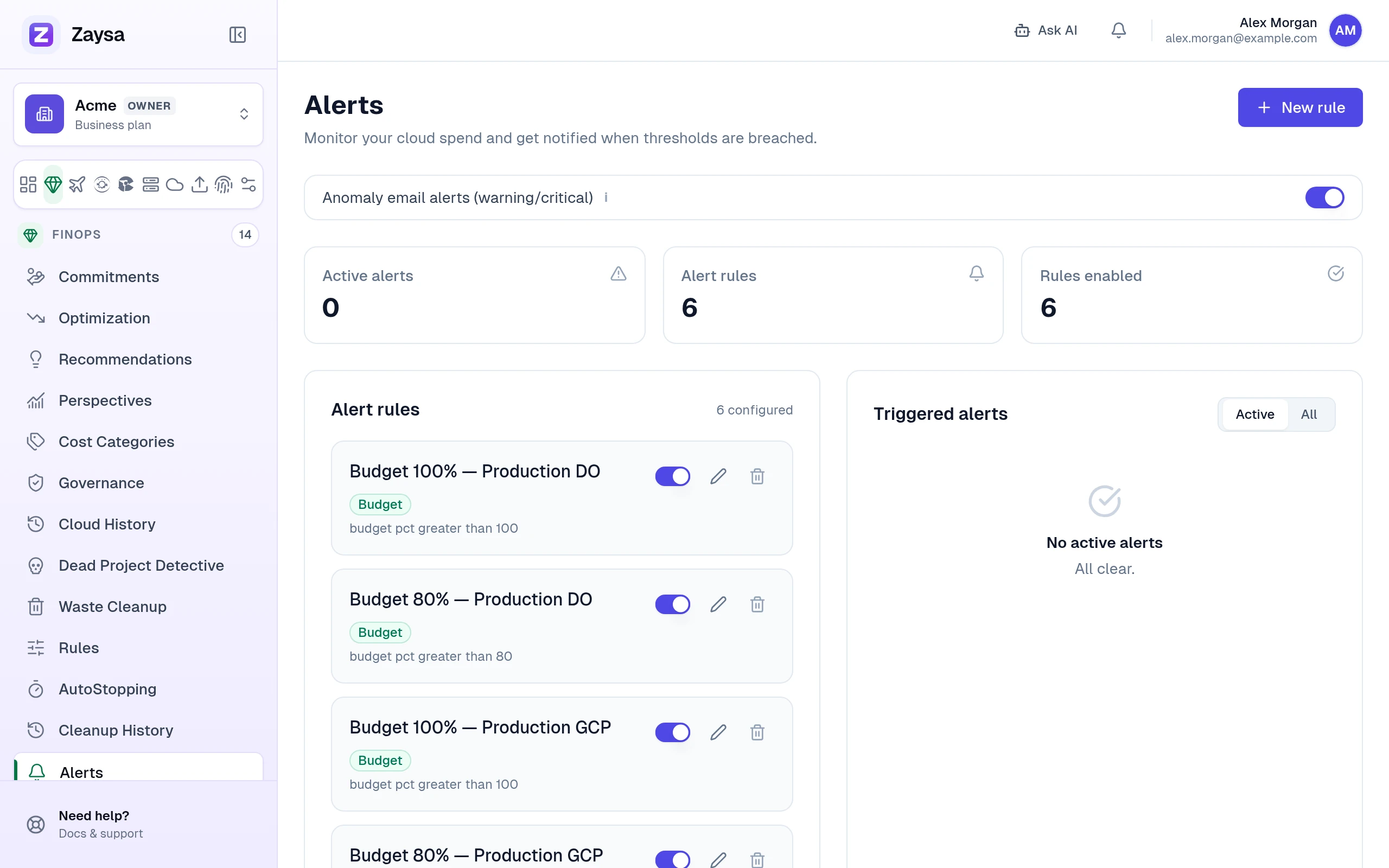 Alerts page showing the two budget rules